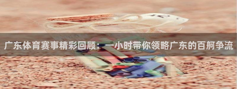 广东体育赛事精彩回顾：一小时带你领略广东的百舸争流