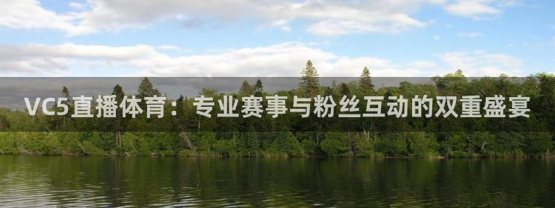 VC5直播体育：专业赛事与粉丝互动的双重盛宴