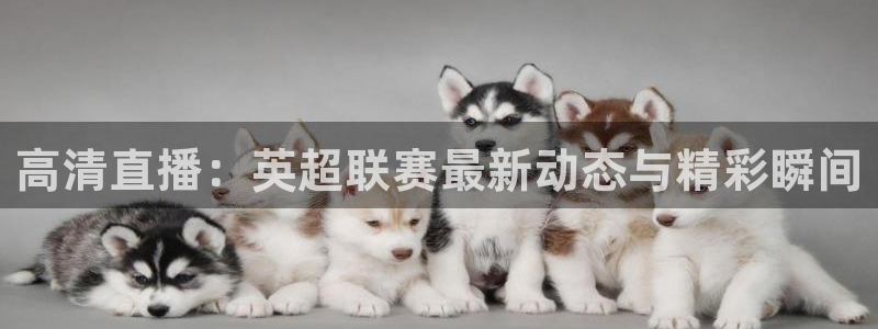 高清直播：英超联赛最新动态与精彩瞬间