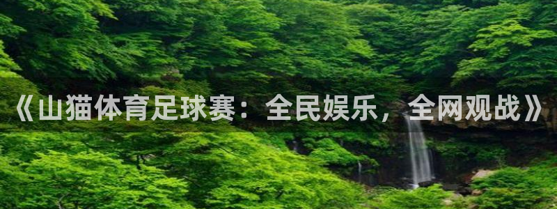 《山猫体育足球赛：全民娱乐，全网观战》