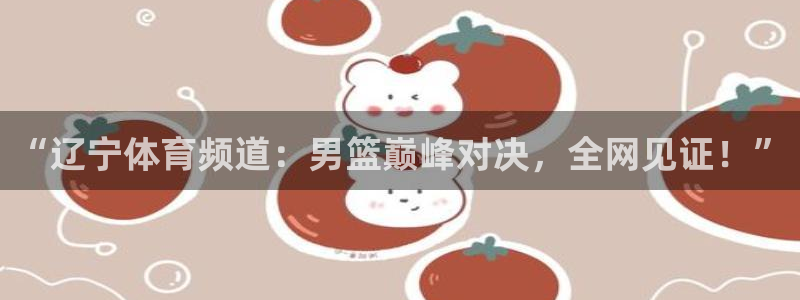 “辽宁体育频道：男篮巅峰对决，全网见证！”