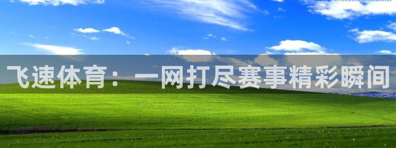 飞速体育：一网打尽赛事精彩瞬间