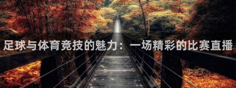 世界杯赛事日程：足球与体育竞技的魅力：一场精彩的比赛直播