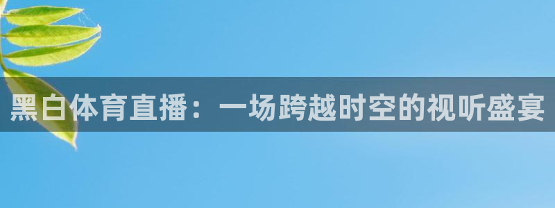 1998世界杯比赛：黑白体育直播：一场跨越时空的视听盛宴