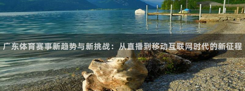 世界杯女篮比赛录像