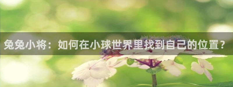 2025足球世界杯赛程