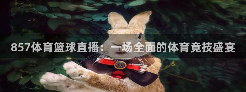 2017年世界杯赛程：857体育篮球直播：一场全面的体育竞技盛宴