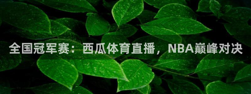 上海飞球：全国冠军赛：西瓜体育直播，NBA巅峰对决